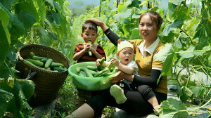 Собираем огурцы и везем их на рынок продавать. Нашли родственников мальчика. Жизнь во Вьетнаме