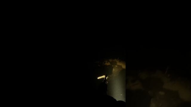 Подводная охота.