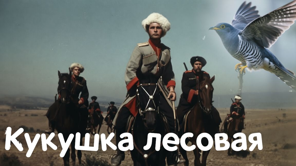Кукушка Лесовая