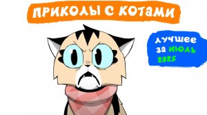 Приколы с котами. ЛУЧШЕЕ ЗА ИЮЛЬ 2025 | Мемозг