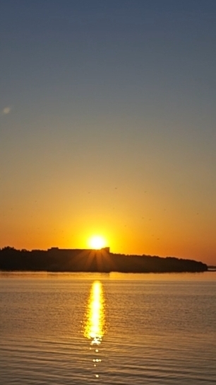 🔥🌲☀️ смотреть онлайн