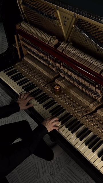 Ludovico Einaudi - Life✨ смотреть онлайн