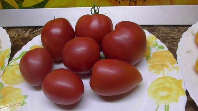 МОИ ЛЮБИМЫЕ ТОМАТНЫЕ ГНОМЫ. Дегустация 26 сортов. 2024 год. смотреть онлайн