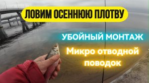 | 100% метод ловли плотвы на спиннинг| УБОЙНЫЙ МОНТАЖ - МИКРО ОТВОДНОЙ ПОВОДОК |