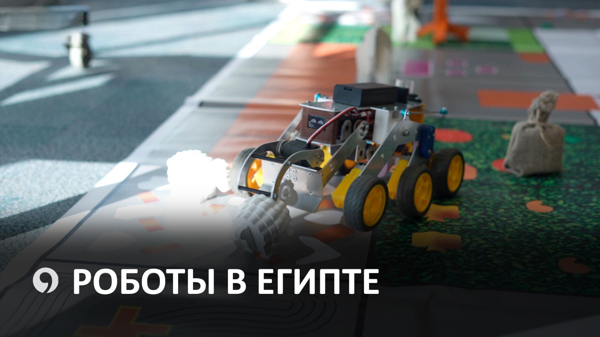 СтГАУ проводит проект «Дни робототехники и инновационных образовательных технологий» в Египте смотреть онлайн