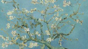 Эпителиальные опухоли. Гемобластозы