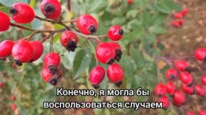 Лабиринты судьбы.