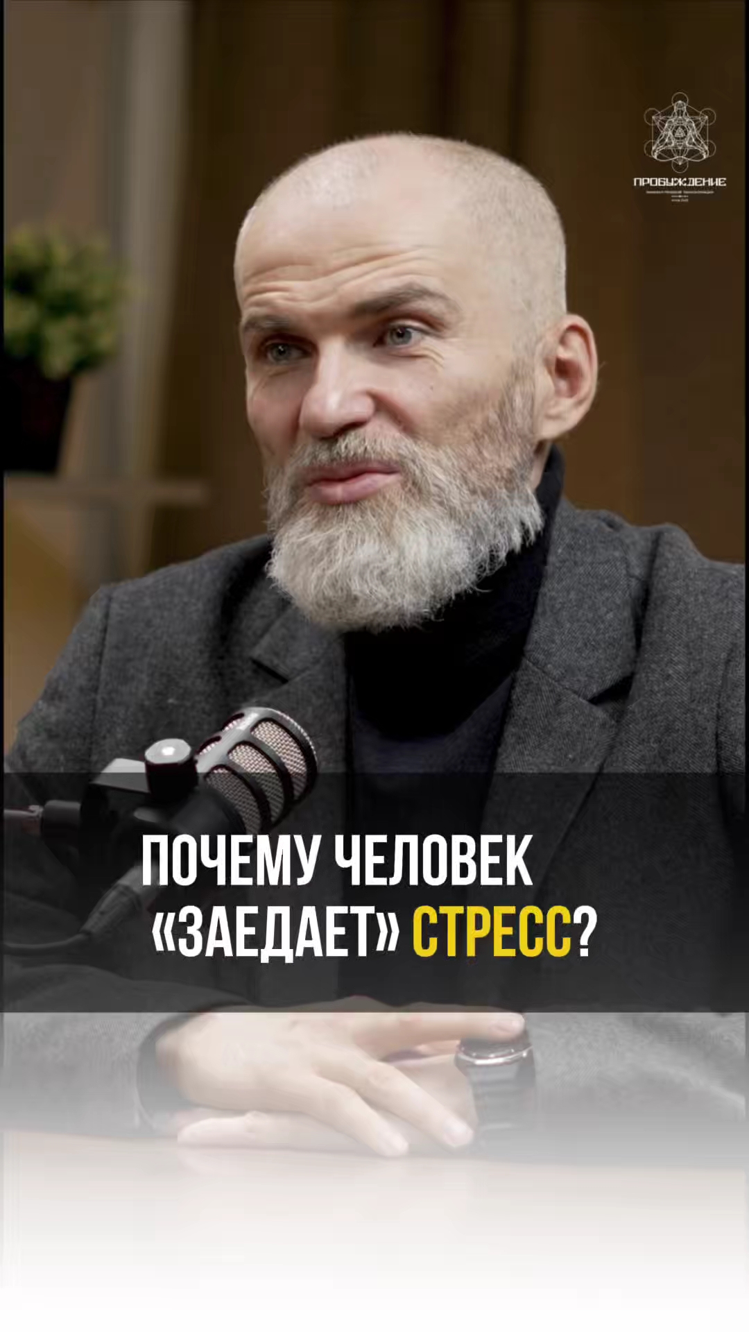 Почему человек «заедает» стресс? #аланмамиев #психология #пробуждение #стресс смотреть онлайн