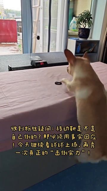 Меткая собака (р) смотреть онлайн