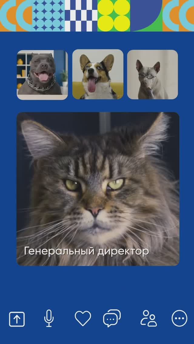 На совещании «Пушистого офиса» появилась гениальная идея! смотреть онлайн