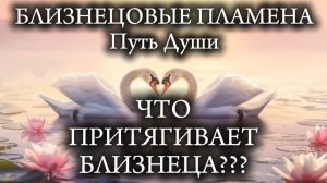 Близнецовые пламена. Что притягивает близнеца