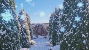 Первый снег 15.11.25г.❄️ Дача.🏡 Где живут наши кошки.🐈
