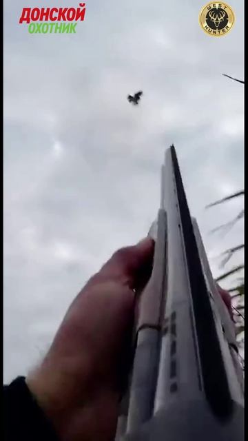 Охота на утку - Удачные выстрелы смотреть онлайн