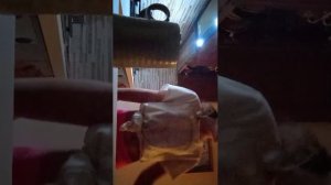 готовлю зафтрак