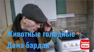 Быть добру. Дед Матвей. Животные голодные, дома бардак
