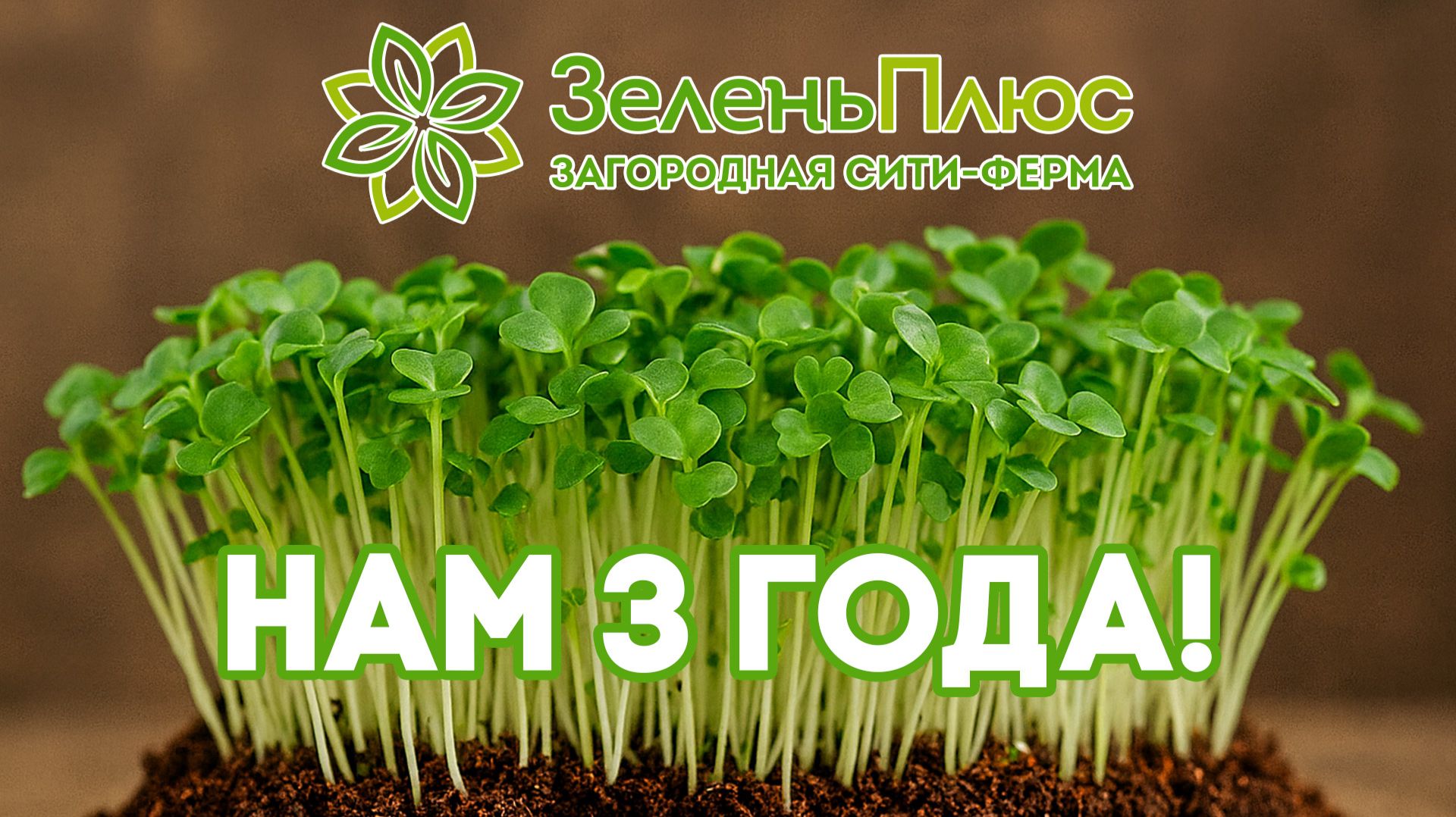 Нам 3 года! смотреть онлайн