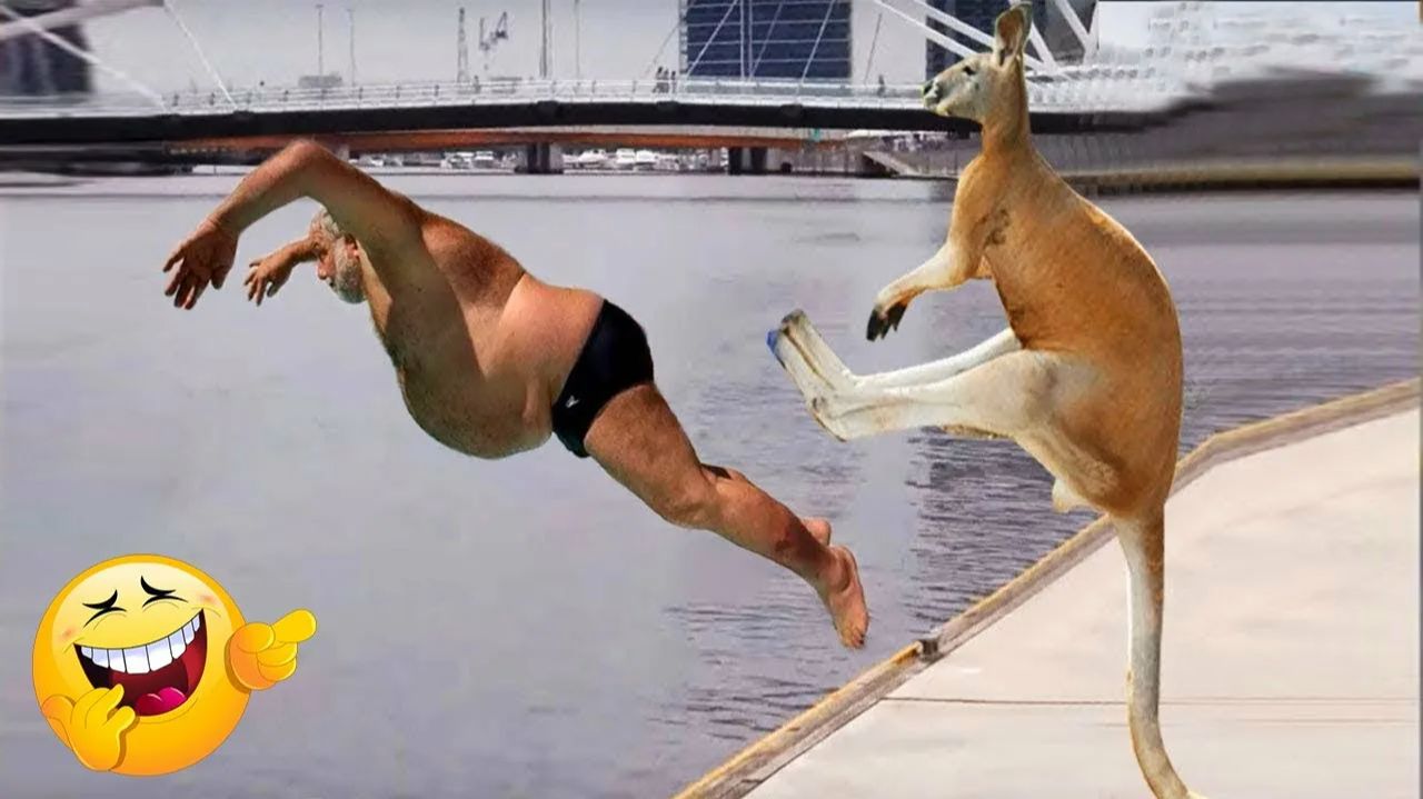 Я ржал до слез 😂 5 Минут смеха 2025 Смешные видео Лучшие Лютые ПРИКОЛЫ Ноября! Подборка смотреть онлайн