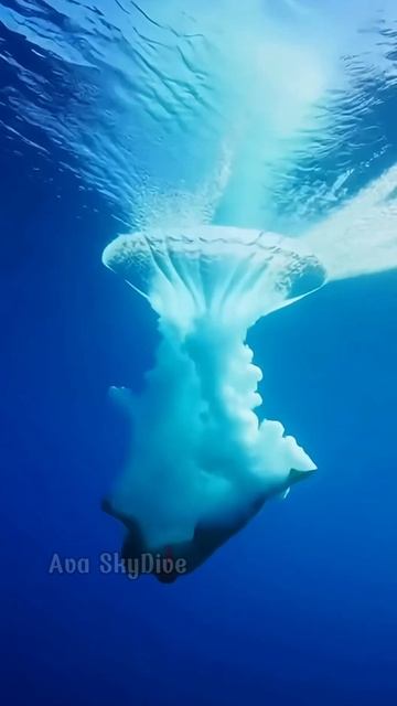 Высота и вода смотреть онлайн