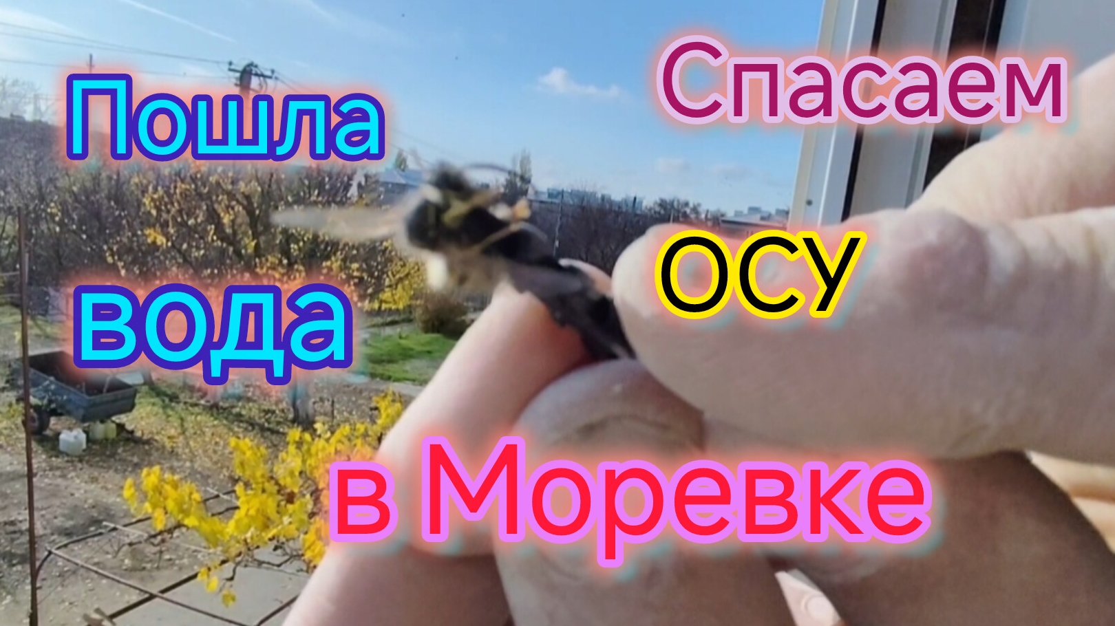 Нашли ВОДУ в Моревке/Спасаем ОСУ/Батареи раскалённые, нашли ПРИЧИНУ/Продолжаем РЕМОНТ 🛠️ смотреть онлайн