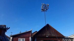 Николаевские голуби Первый раз на крыше без ёлки