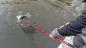 Морозное утро на Спорт-зоне. Клёвое место Лосиный остров.