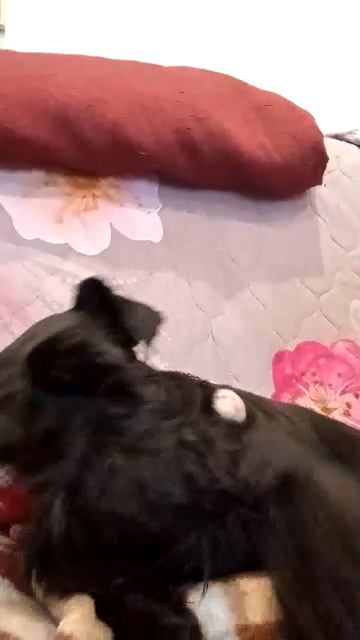 Я смотреть онлайн