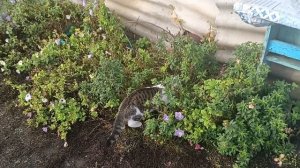 Жизнь женщины в деревне Российская глубинка