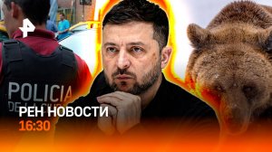 Конец Зеленского? / Россиянка "взорвала" Аргентину / Медведи-воришки / РЕН Новости 16:30, 16.11.25