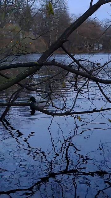 здравствуй,  ноябрь!🍂❄️