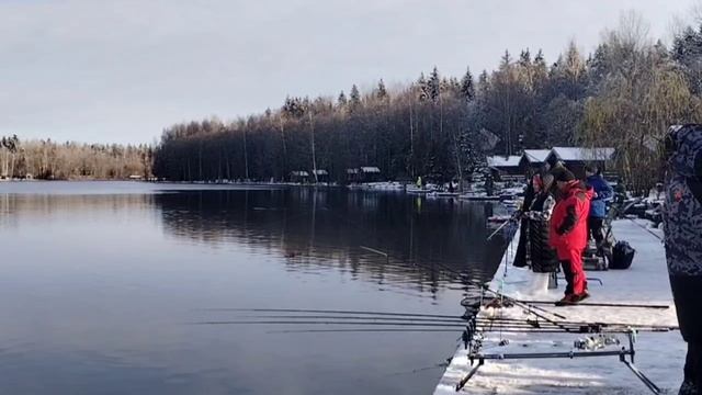 video_2025-11-16_11-17-29 смотреть онлайн