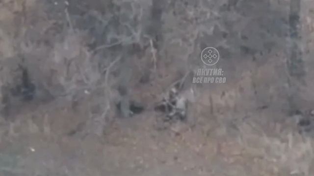 для поздравления якутян всушник выучил русский язык наизусть село Успеновка Зап. смотреть онлайн