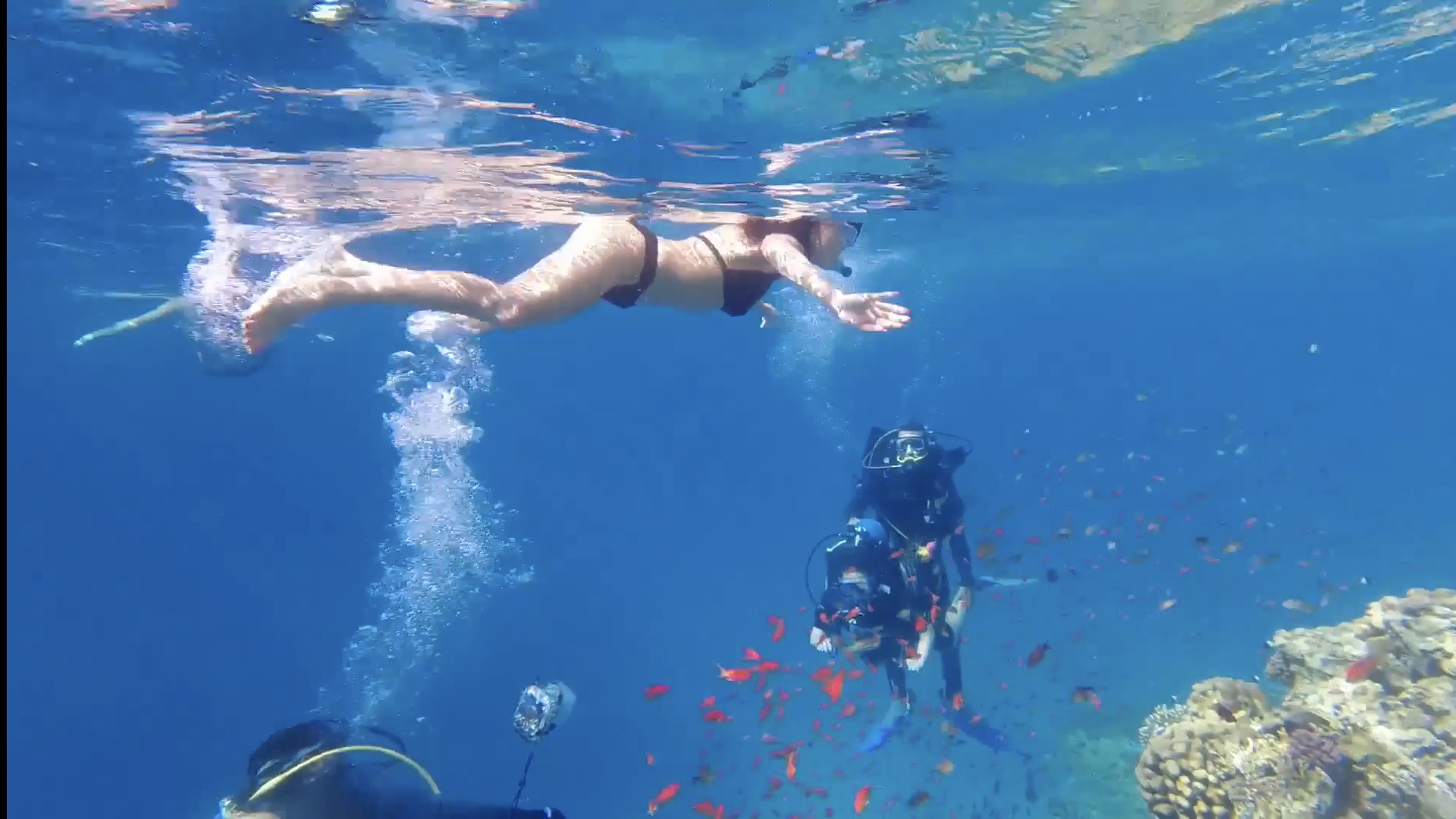 Египет. Красное море! Цветущий сад под водой! Прогулка на яхте. смотреть онлайн