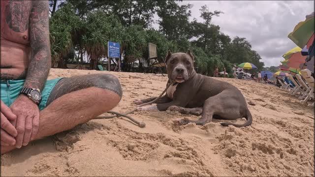 Пляж Карон, Пхукет, Таиланд. 03.11.2025. смотреть онлайн