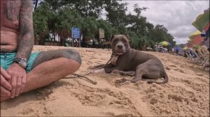 Пляж Карон, Пхукет, Таиланд.  03.11.2025.