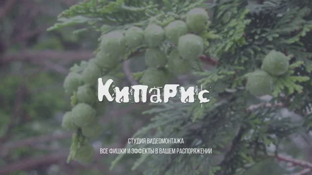 Kiparis_video editing studio1