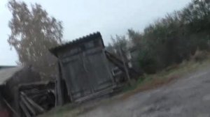 Явление голубя диого на кормёжку и зачистка грохота  28 10 2025