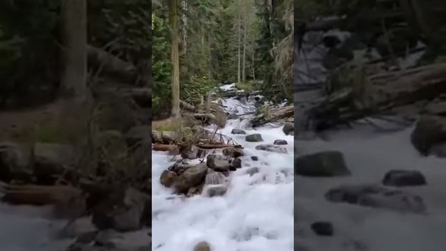 хочу накрыть нехитрую поляну смотреть онлайн