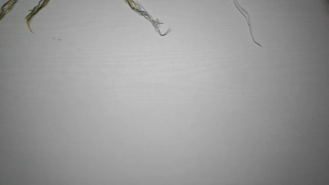 СП "12 месяцев " Отчёт 1/2 Ноябрь 2025 смотреть онлайн