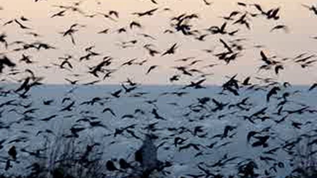 MOV00320 смотреть онлайн