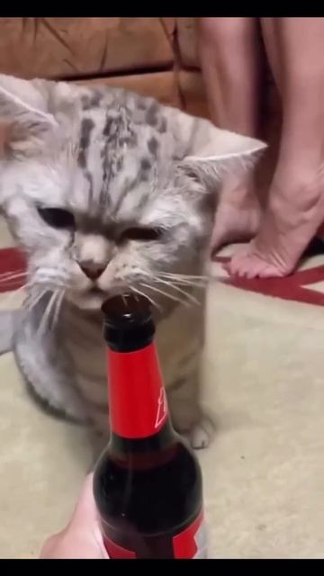 Добрейшей души человек🤣 смотреть онлайн