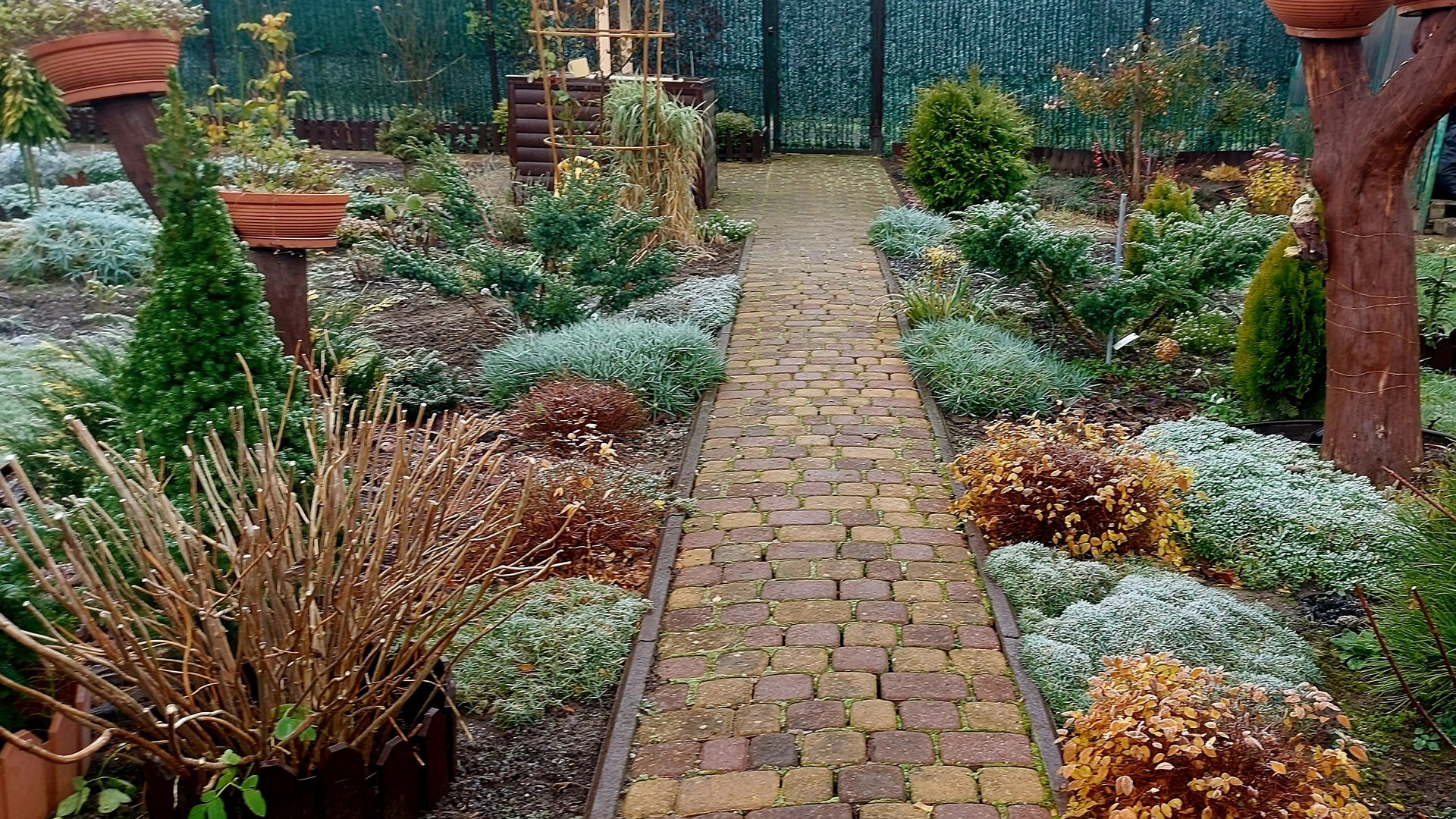 Первые заморозки❄️ Хмурая погода🌧Дачный сезон подходит к закрытию😌 #любимаядача смотреть онлайн