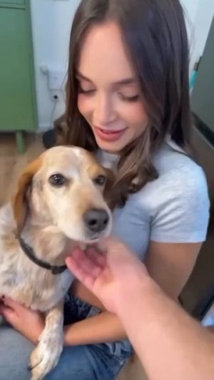 Не замечено