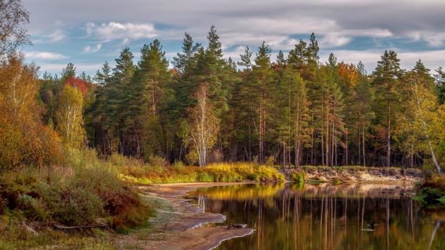 "ПРОЩАЙ, ОСЕНЬ!"... (Фото Андрея АБАКУМОВА (Рязань), музыка - Сергей РУДНЕВ (гитара)) смотреть онлайн