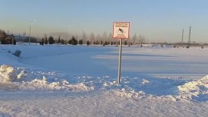 Новый пруд стоится на северном маганаке в мжк в г. Прокопьевске на тыргане