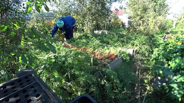 Влог от 23.09.2021 смотреть онлайн