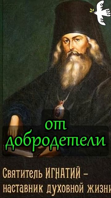 Духовные и душевные добродетели. Святитель Игнатий Брянчанинов #молитва #православныйцарь #старцы