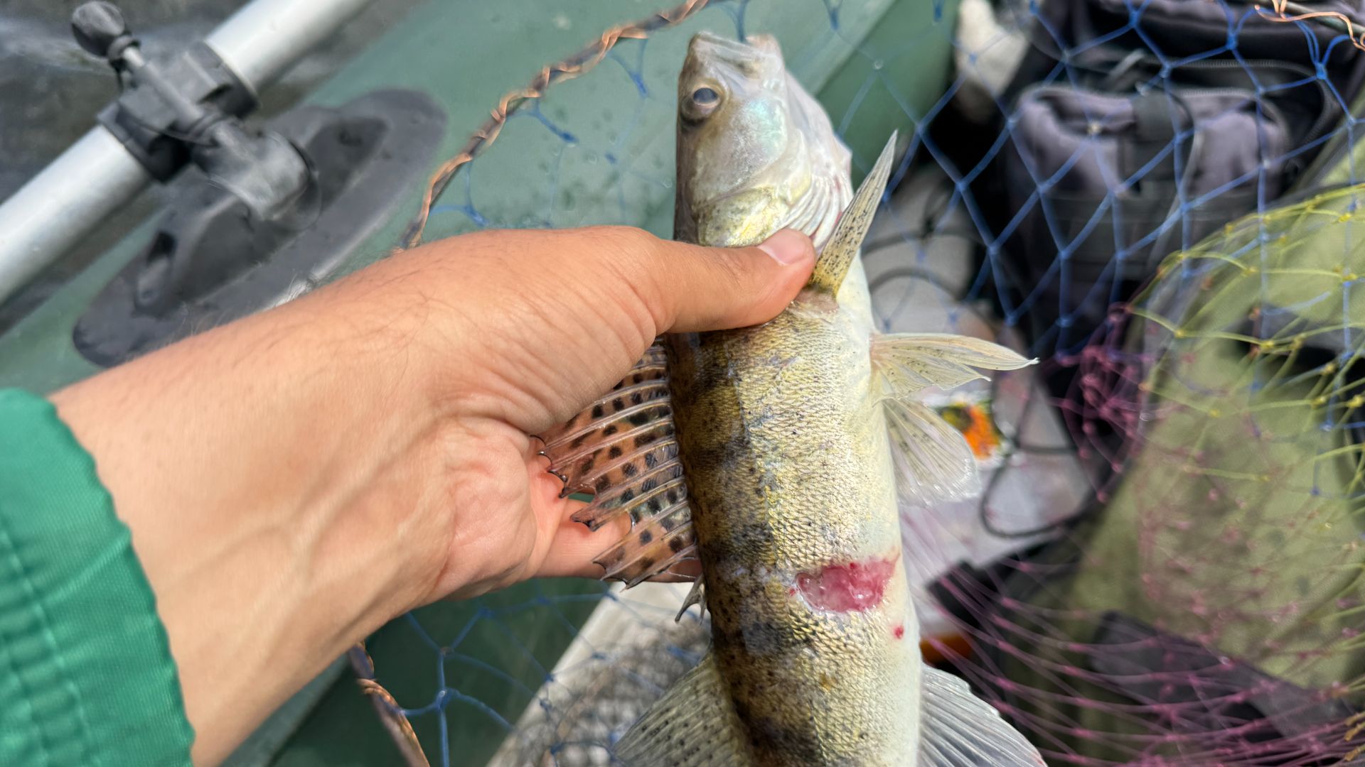 Рыбалка на спиннинг. Рыбалка с лодки. Рыбалка на блесну. Блесна.