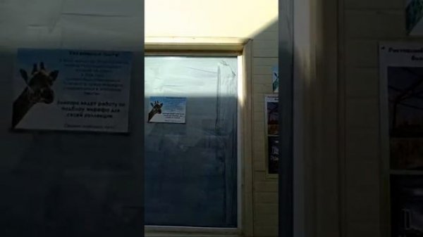 Varya & Eva Мы двойняшки!!! в прямом эфире!