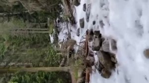 Поговорим о жизни пацаны