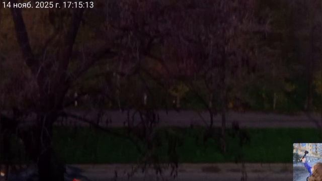 Мариуполь 📽️ Мои любимки 🐈🐈🐈 смотреть онлайн